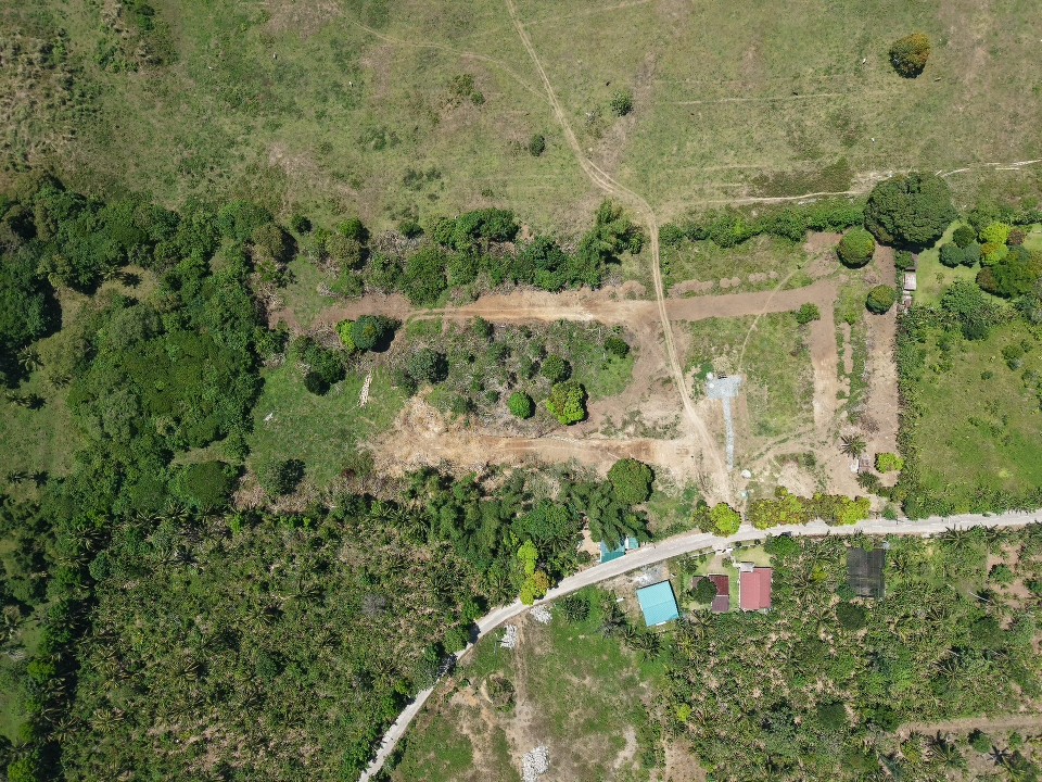 DJI_20250424103302_0312_D