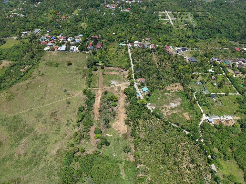 DJI_20250424103723_0323_D